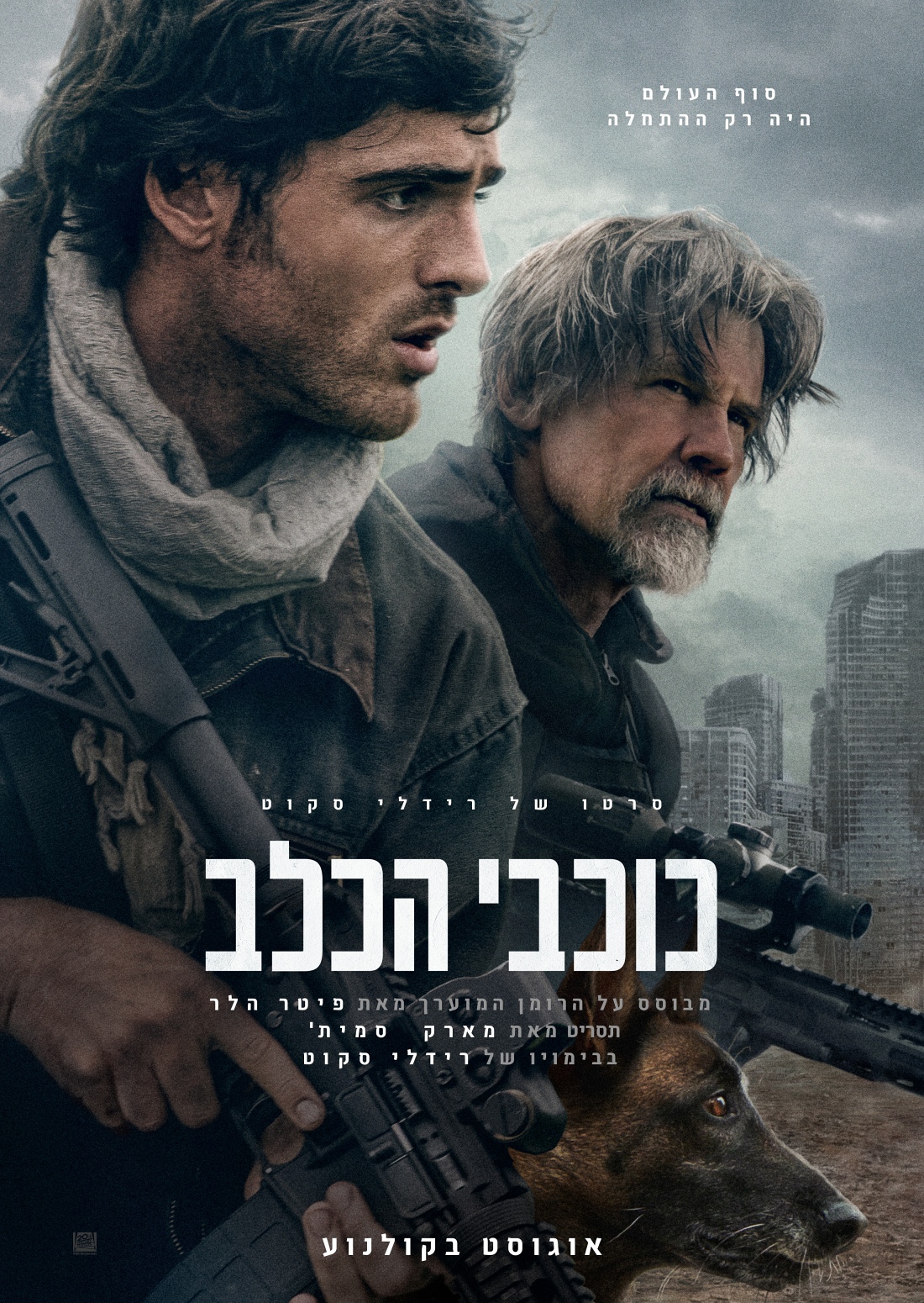 כוכבי הכלב
