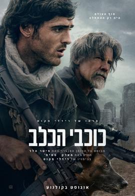 כוכבי הכלב