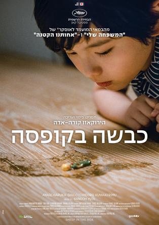 כבשה בקופסה